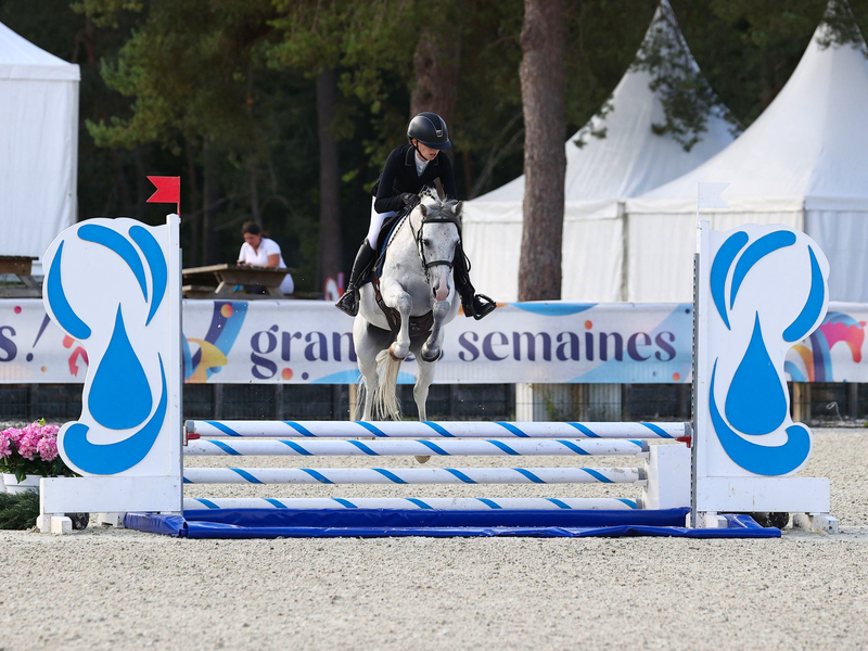 Kingstown du Hem, poney de CSO à vendre aux Écuries de Laventie (Pas-de-Calais)