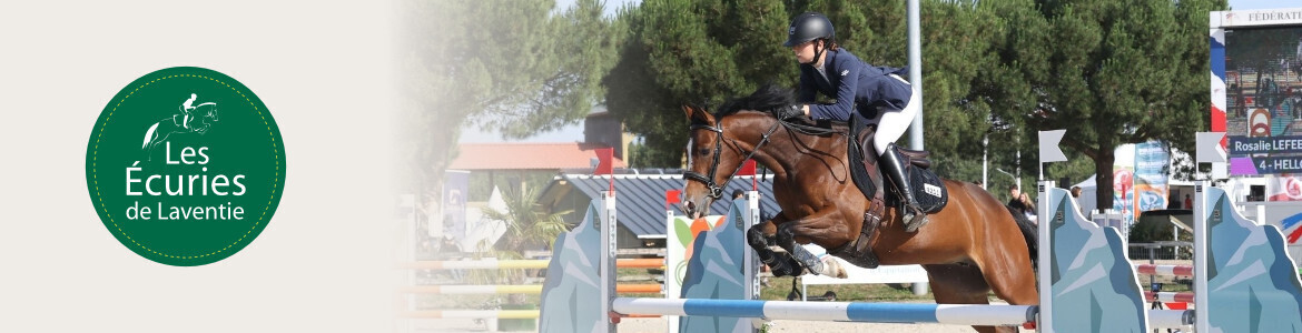 Les Écuries de Laventie - FFE